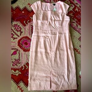 Ann Taylor Dress NWT